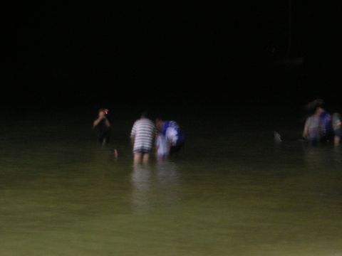 s_B_PICT0040.jpg